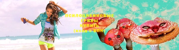 синтетический гашиш Медвежьегорск