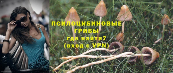 первитин Мегион