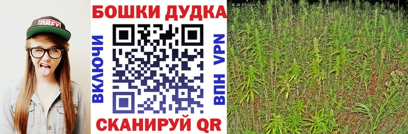 Канабис гибрид Приволжский